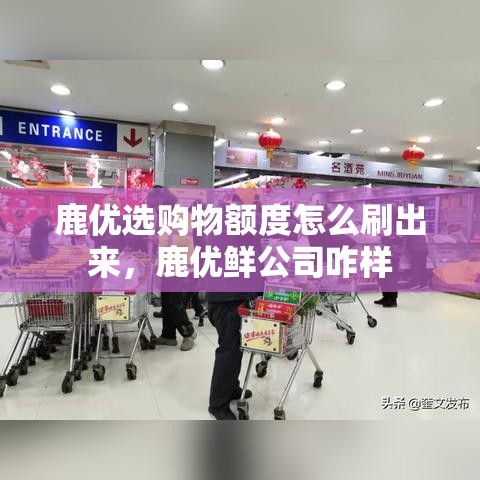 鹿优选购物额度怎么刷出来，鹿优鲜公司咋样