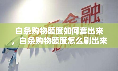 白条购物额度如何套出来，白条购物额度怎么刷出来