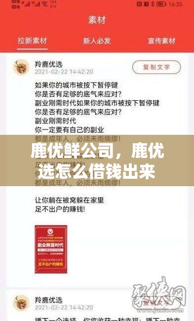 鹿优鲜公司，鹿优选怎么借钱出来