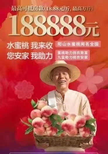 桃买买取现秒到，桃桃买房教程免费视频