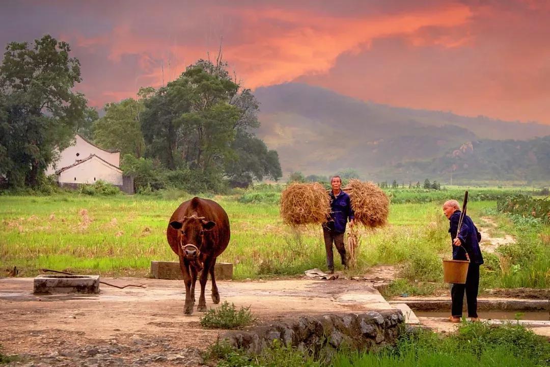 世界八大奇迹分别是什么最古老的石像