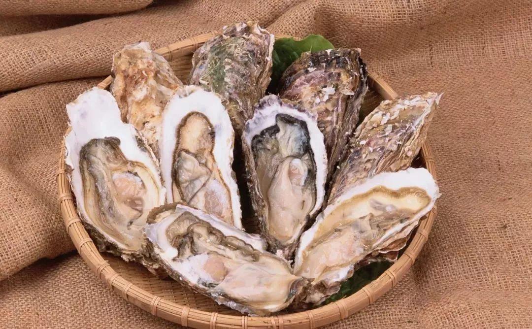 有关螃蟹的诗句世界上最危险的螃蟹是什么