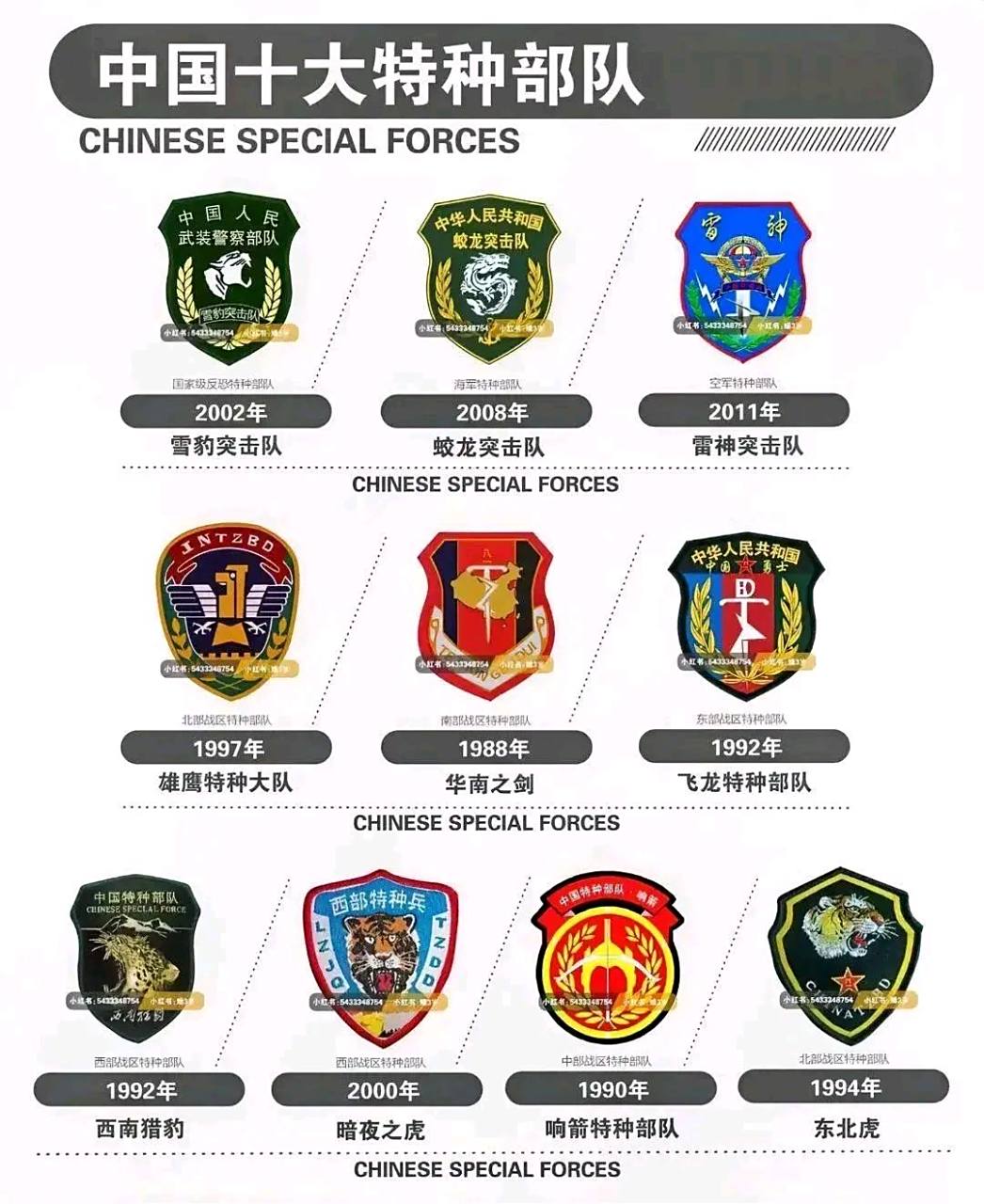 世界特种部队前5强名单中国十大cs战队名单