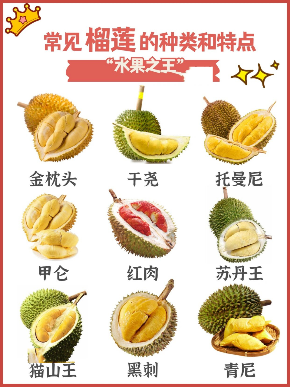 泰国榴莲品牌十大排名最贵榴莲十大排名柿子和黑柿