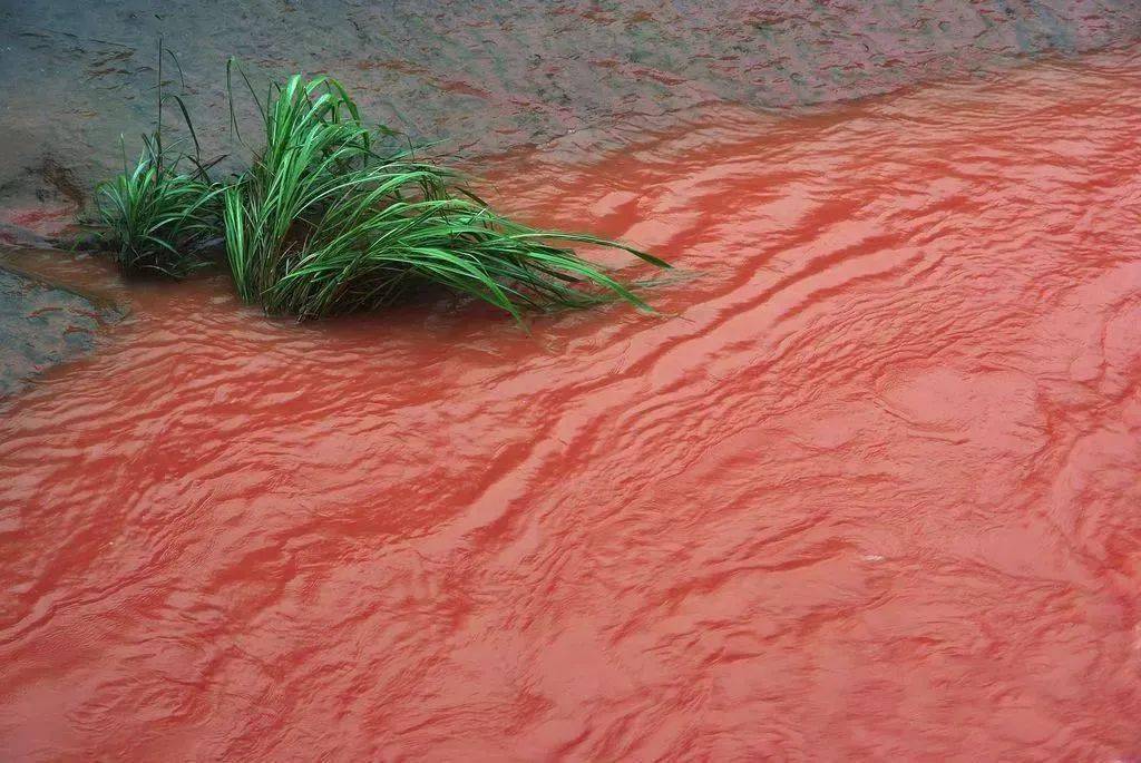 介绍一下我国第一大淡水湖（鄱阳湖）中的离奇事件。中国最诡异的水