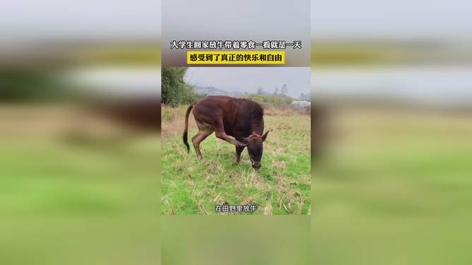 读世界上最牛的教练感悟,世界杯上最牛的教练~