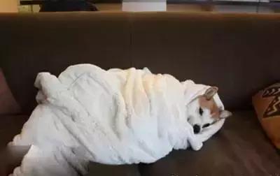 唐朝一王爷发明的了什么独特的“取暖方式”，让多数人直喊尴尬？（奇葩的取暖方式）