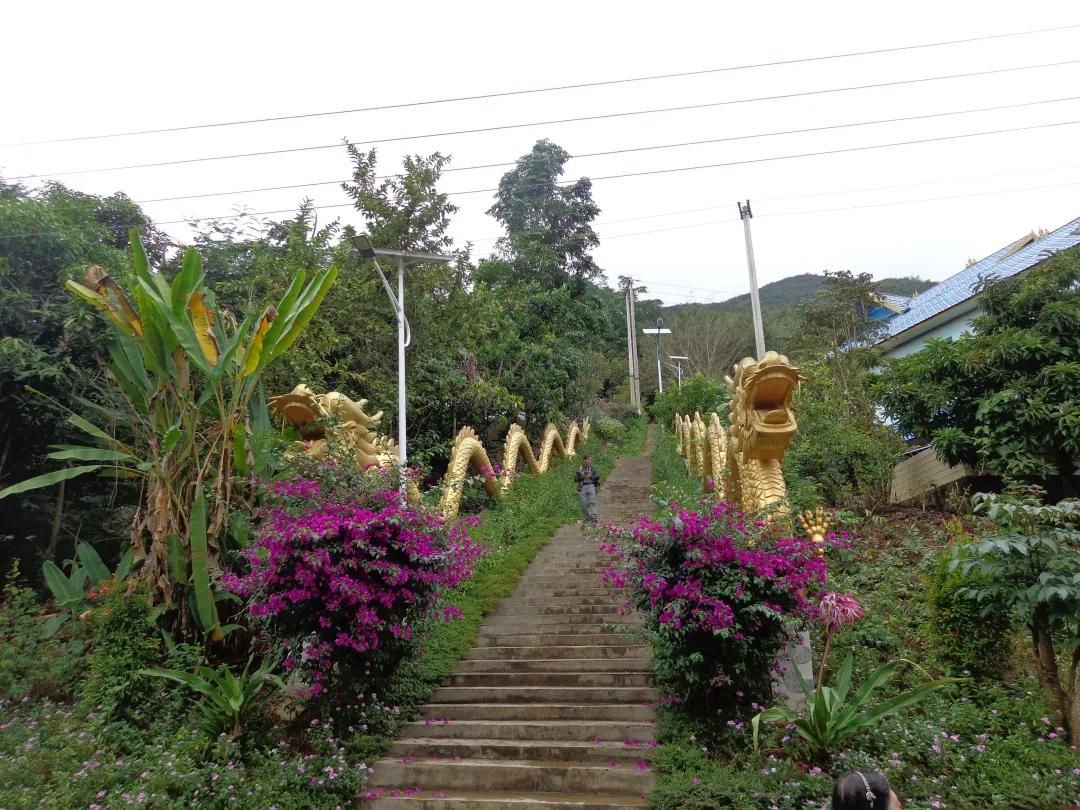 景洪烧烤十大排名店铺景洪市哪里比较热闹