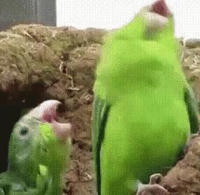 中国最便宜的液体香水最便宜的一般多少钱