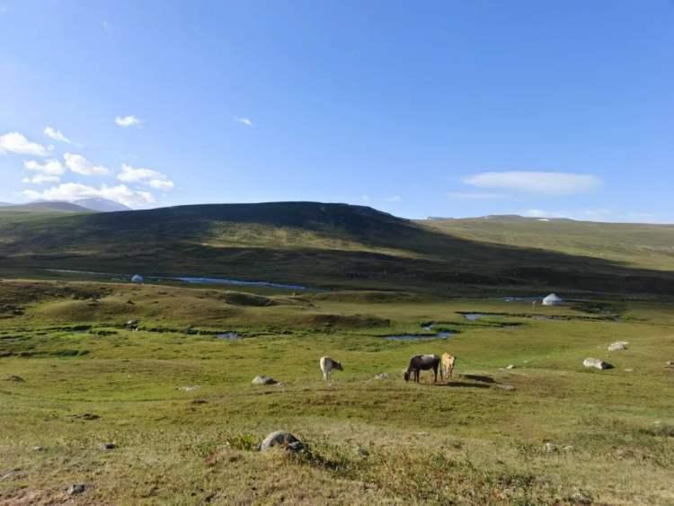 中国最北地方天气漠河北极村8月气温