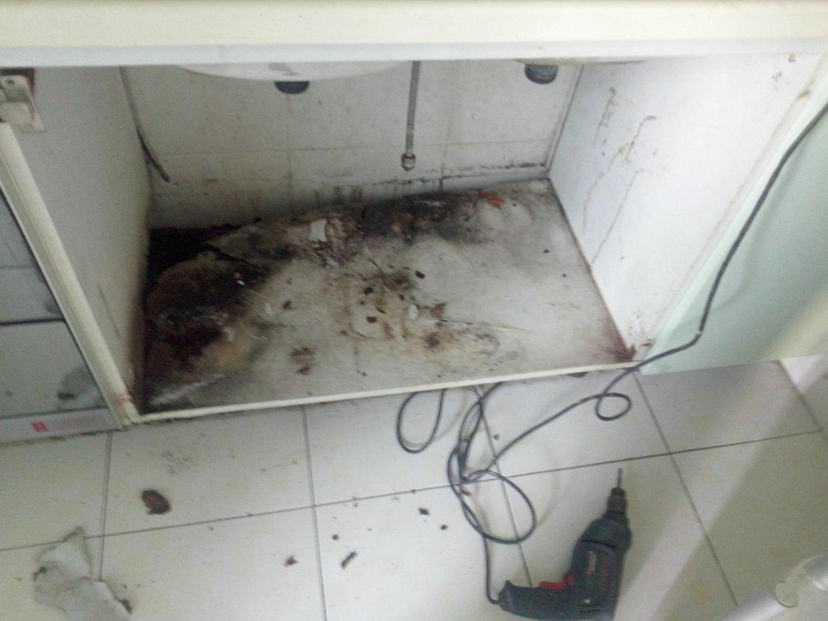 厨房水槽品牌十大排名榜(家用厨房水槽推荐哪款)