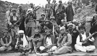 上帝之鞭阿提拉 内容提要(世界上最勇猛的动物是什么)