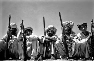 上帝之鞭阿提拉 内容提要(世界上最勇猛的动物是什么)