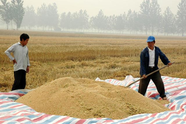 世界各国吃饭碗排名前十看看世界各国早餐 你觉得哪个最好吃