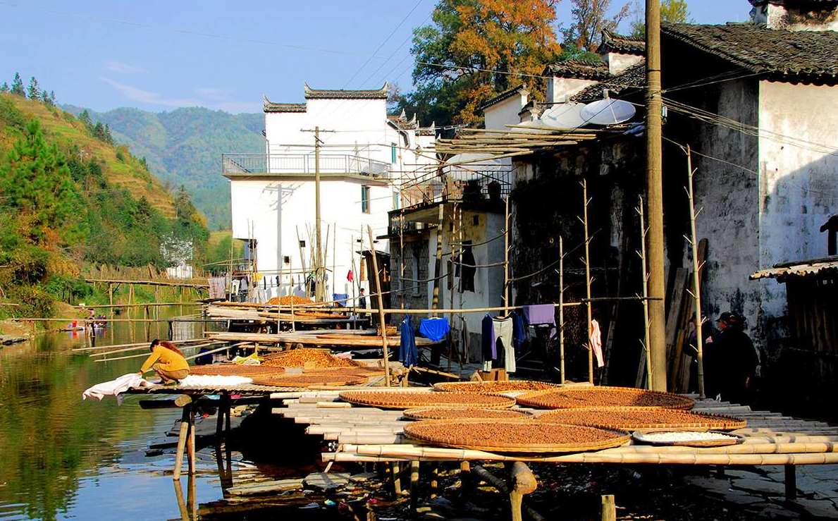 浙江9个神秘的小众清新古村,周末去避暑正好!(中国最舒服的村子)