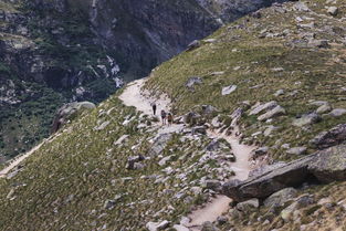 司仪官名，司仪十大排名