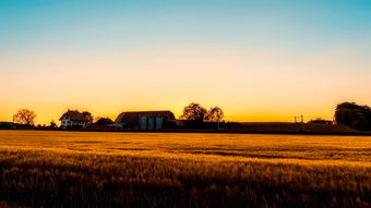 中国最进步的文字中国在哪些方面取得了巨大的进步?