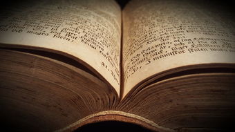 中国最奇大案纪实，中国十大奇案百度百科