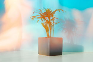 世界上最真诚的爱,世界上最真爱的句子