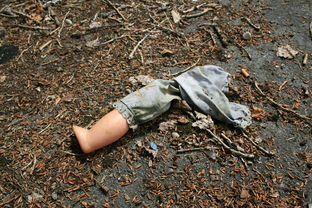 这世界上最恐怖的蜘蛛长什么样，世界上最神秘的蜘蛛