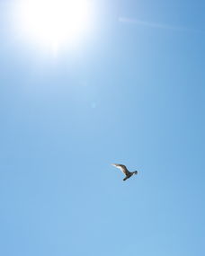 美国渔业世界排名前十，美国渔业世界排名前十名