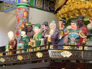 中国最萌夫子视频大全，中国最萌夫子视频