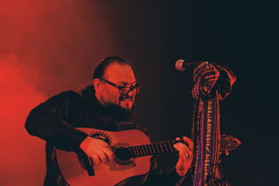 奶狗世界的宝物排名前十，世界上奶狗