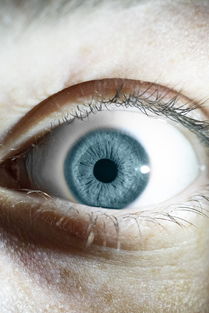 世界上最标准的眼,最标准的眼睛