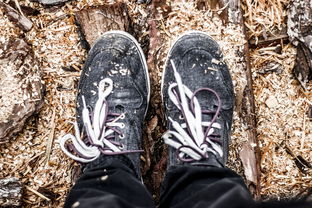 世界最高防护甲排名前十，世界上最高级的防弹衣