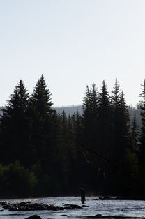 世界上最危害的河流排名,世界上最危害的河流