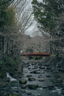 世界上最危害的河流排名,世界上最危害的河流