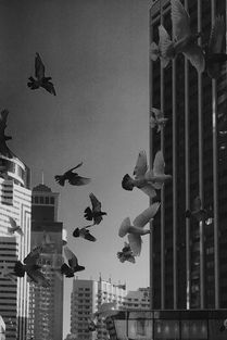 中国最好的悬疑片,中国最悬疑的事