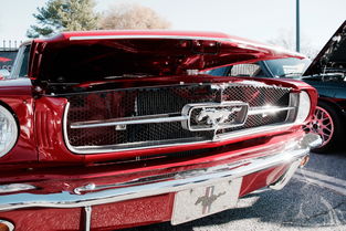 汽车皮带品牌十大排名图片，汽车皮带品牌十大排名