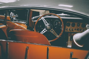 世界上最大的越野房车的内饰，最大的越野房车十大排名