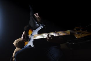 世界最安静的人，世界上最安静乐曲