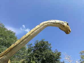 脖子最长的恐龙的图片，脖子长度十大排名恐龙