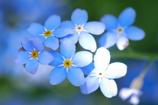 最稀有的姓氏是什么，世界上最稀有的姓氏是