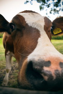 中国很牛的女性，中国最牛女士排名