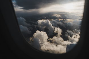 世界上最痛苦的句子的简单介绍