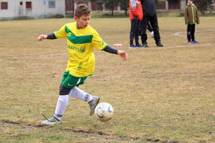 世界前十体育运动员排名，世界体育名人排行榜