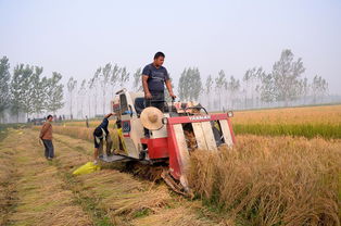 小型除草机十大排名，小型除草机哪家好