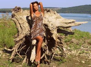 世界最牛驼鸟排名前十，世界最牛驼鸟排名前十的品种