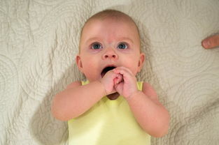 中国最安全的酸奶，真正含有益生菌的酸奶