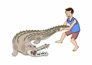 世界上最伟大的摔角，最伟大的摔跤选手