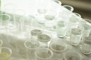 成人塑料水杯十大排名,塑料水杯排名前十