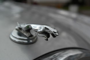 世界前十位品牌车标图片及价格，世界前十位品牌车标图片