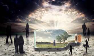 播放世界上最帅的，世界上最帅的艺术