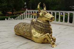 世界上最牛工程,世界上最牛工程人