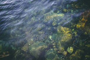 世界上最脏的十个国家，世界上最脏的几个节日