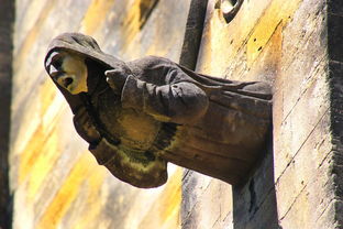 世界上著名的佣兵集团，佣兵团世界前十